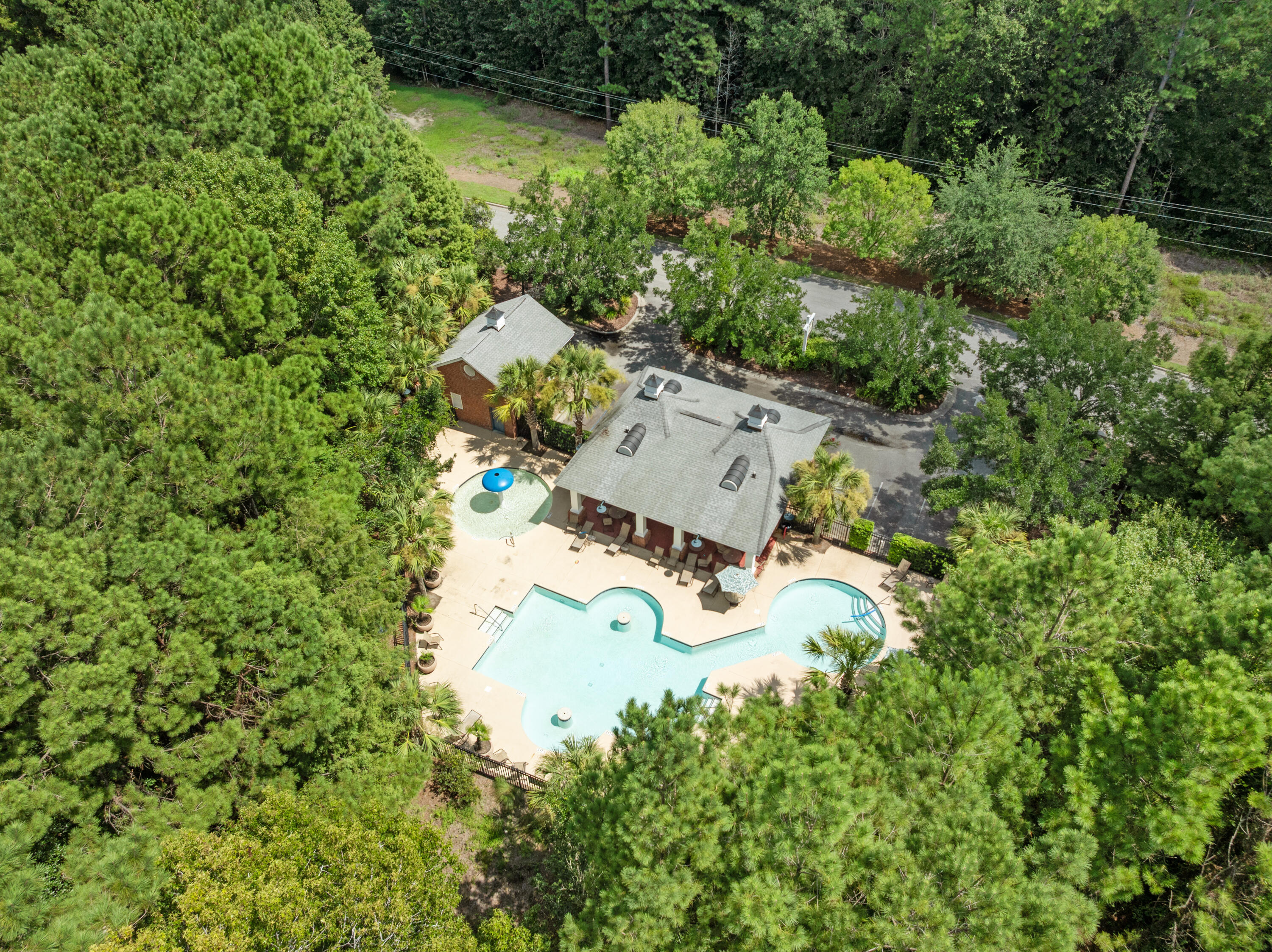 308 Tidal Rice Court Wando, SC 29492 - Photo 17 of 18 IMG_3151