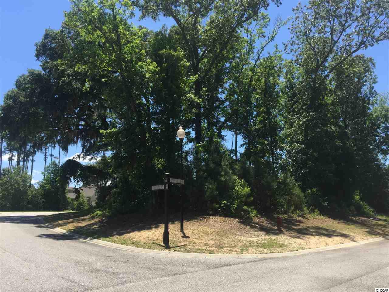 Tilly Lake Road Conway, SC 29526 - Photo 1 of 19 Gallery Image 1