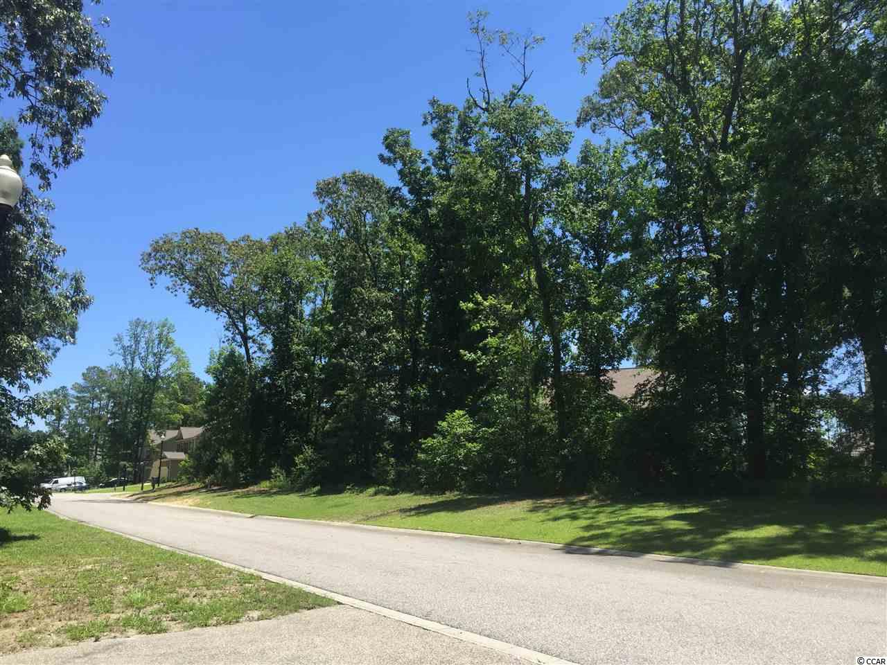 Tilly Lake Road Conway, SC 29526 - Photo 11 of 19 Gallery Image 11