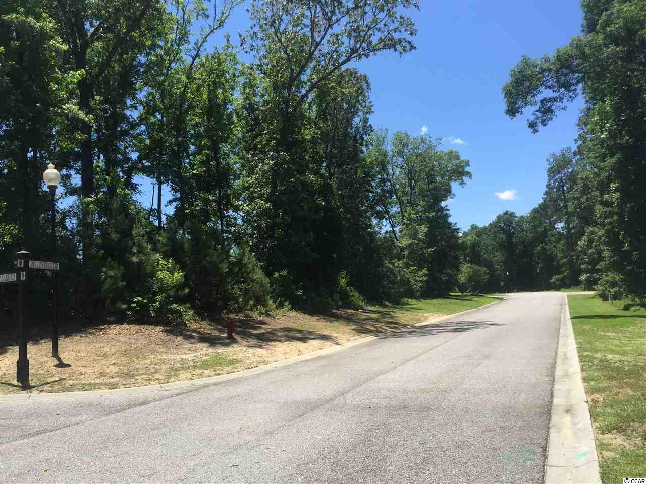 Tilly Lake Road Conway, SC 29526 - Photo 15 of 19 Gallery Image 15