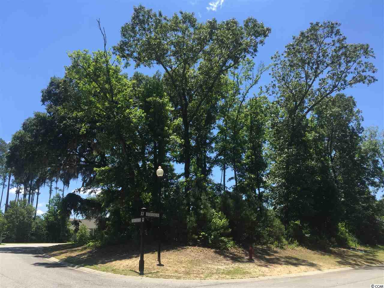 Tilly Lake Road Conway, SC 29526 - Photo 17 of 19 Gallery Image 17