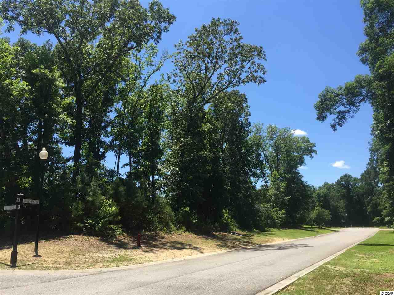 Tilly Lake Road Conway, SC 29526 - Photo 18 of 19 Gallery Image 18