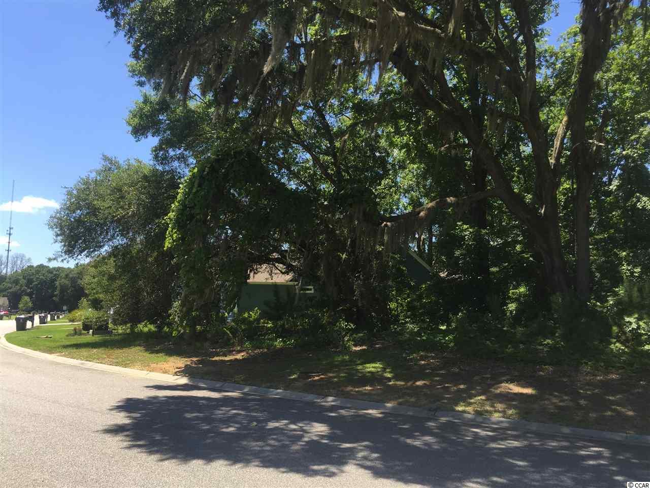 Tilly Lake Road Conway, SC 29526 - Photo 3 of 19 Gallery Image 3