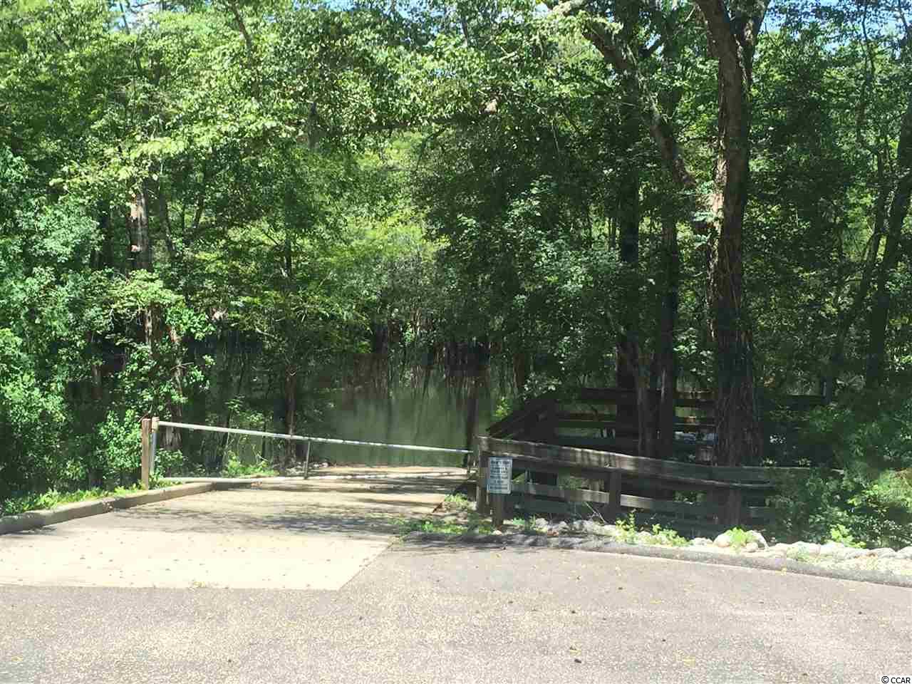 Tilly Lake Road Conway, SC 29526 - Photo 8 of 19 Gallery Image 8