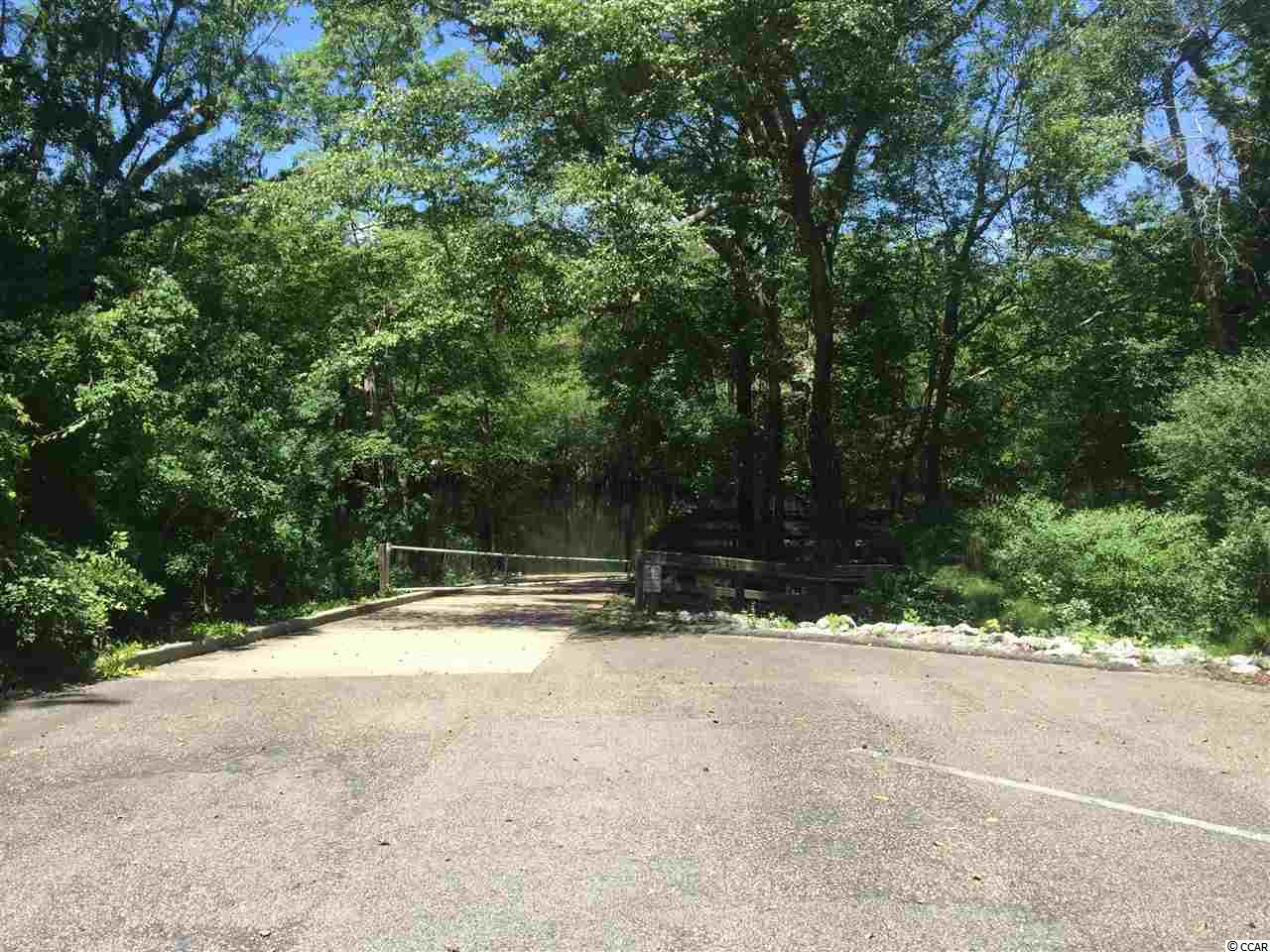 Tilly Lake Road Conway, SC 29526 - Photo 10 of 19 Gallery Image 10