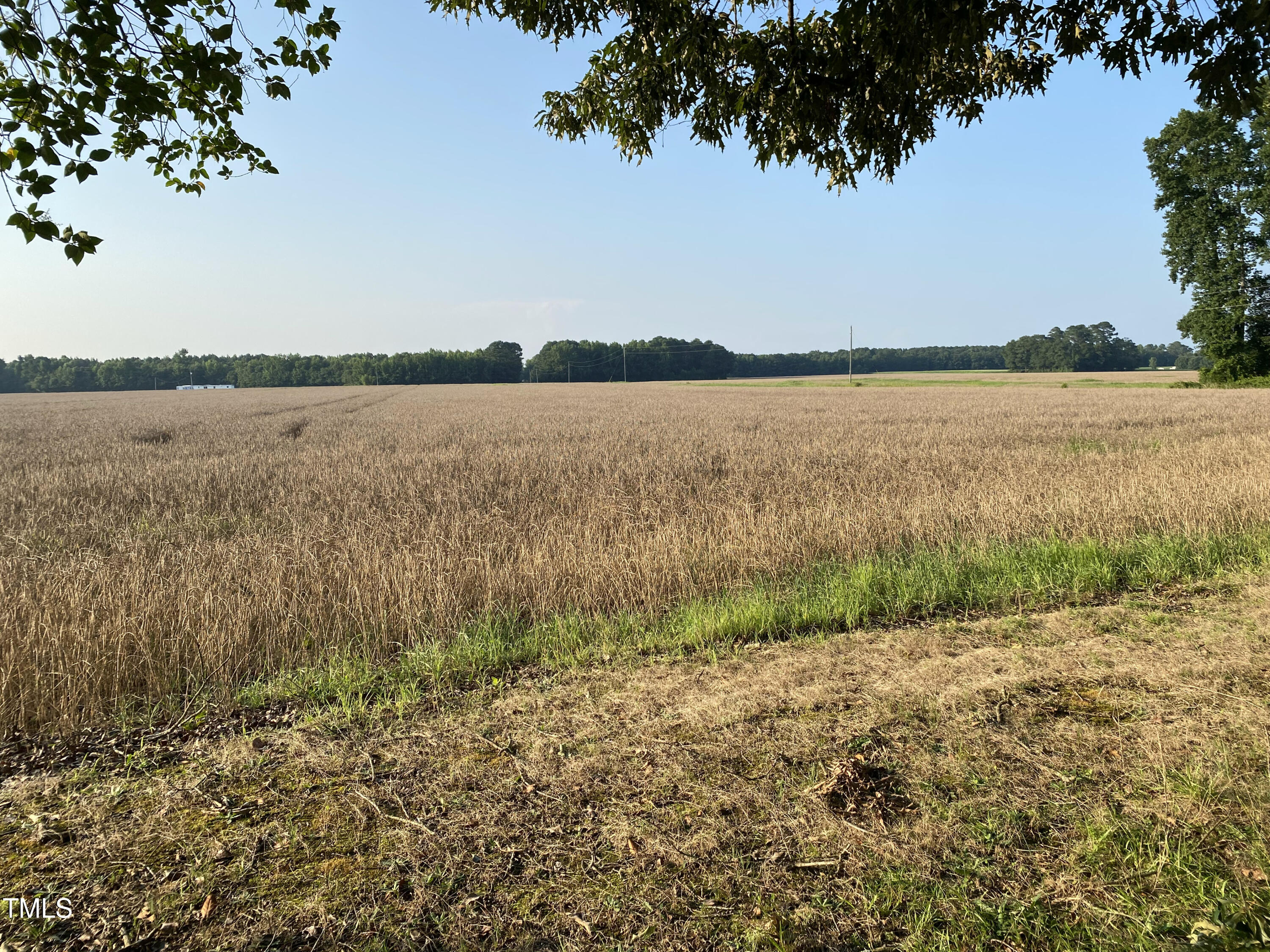 2328 Page Road Godwin, NC 28344 - Photo 1 of 19 a view of a lake from a yard