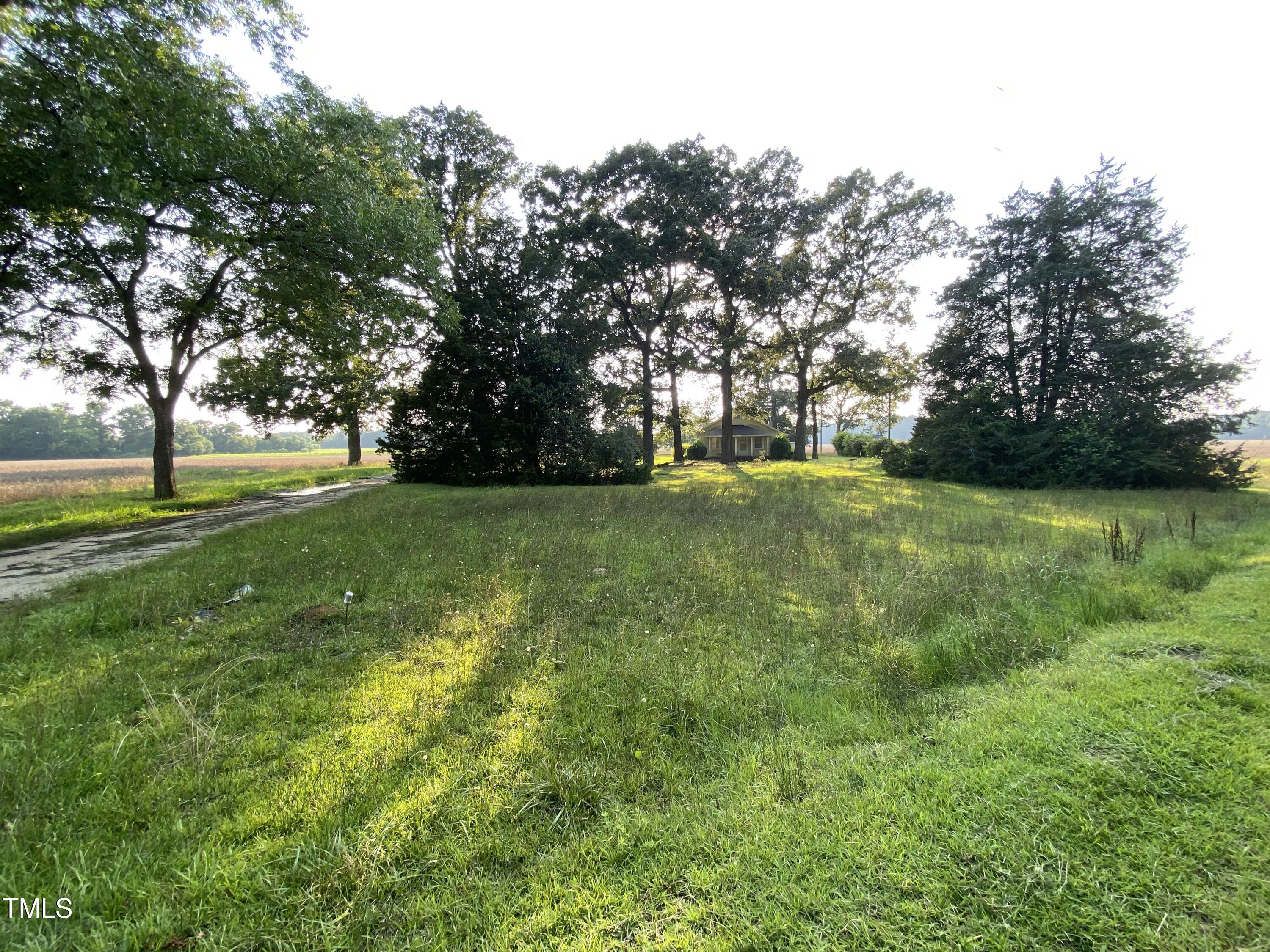 2328 Page Road Godwin, NC 28344 - Photo 7 of 19 a view of a field with trees in the background