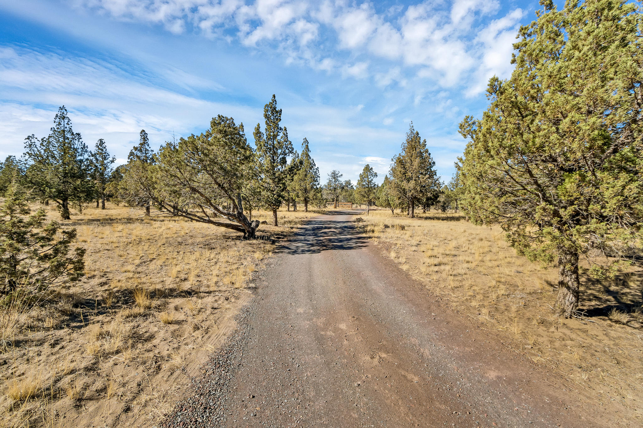 9644 Northwest Rocky Road Powell Butte, OR 97753 - Photo 8 of 31 DSC02164
