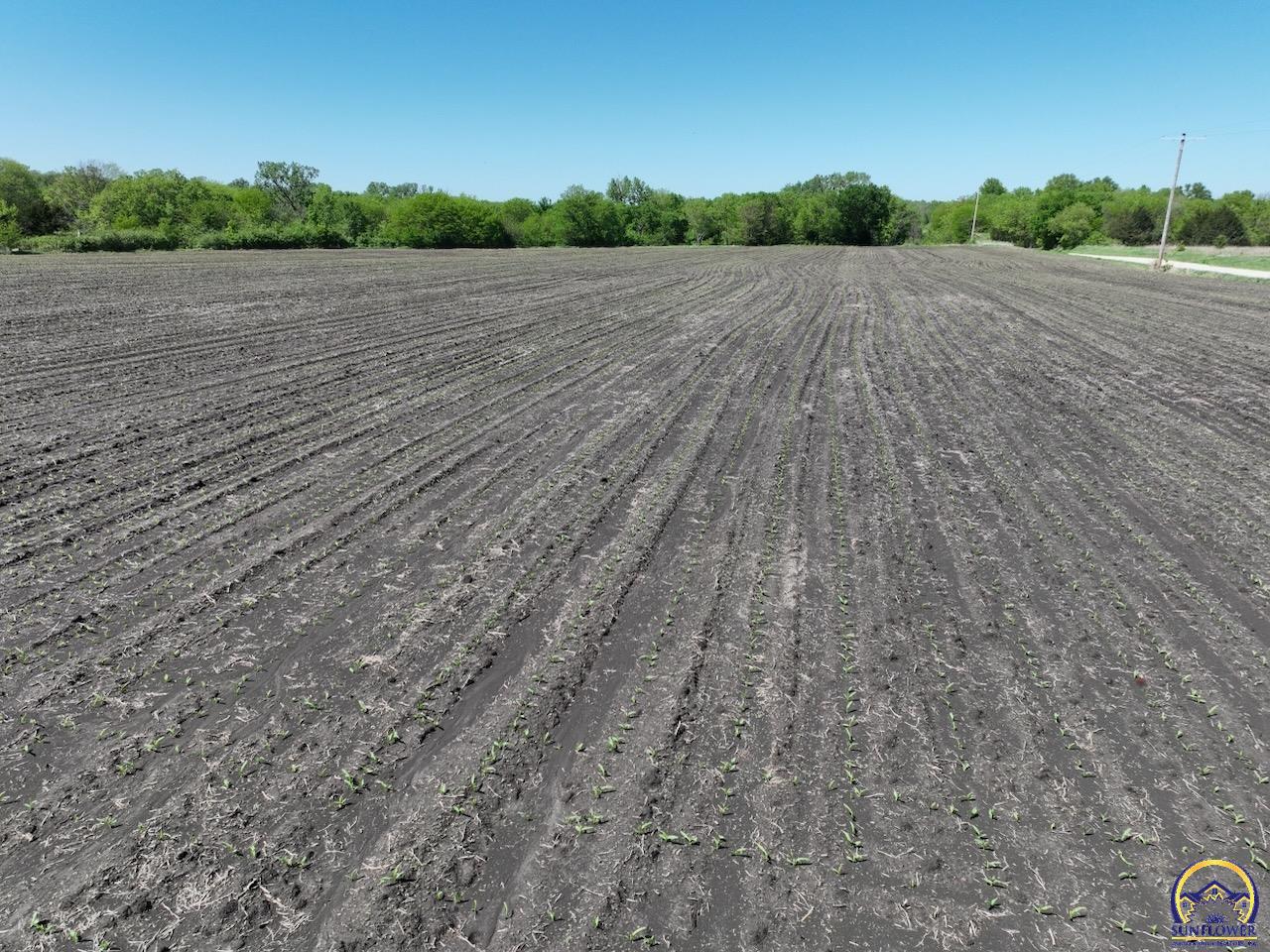 0 South Morrill Road Scranton, KS 66537 - Photo 14 of 23