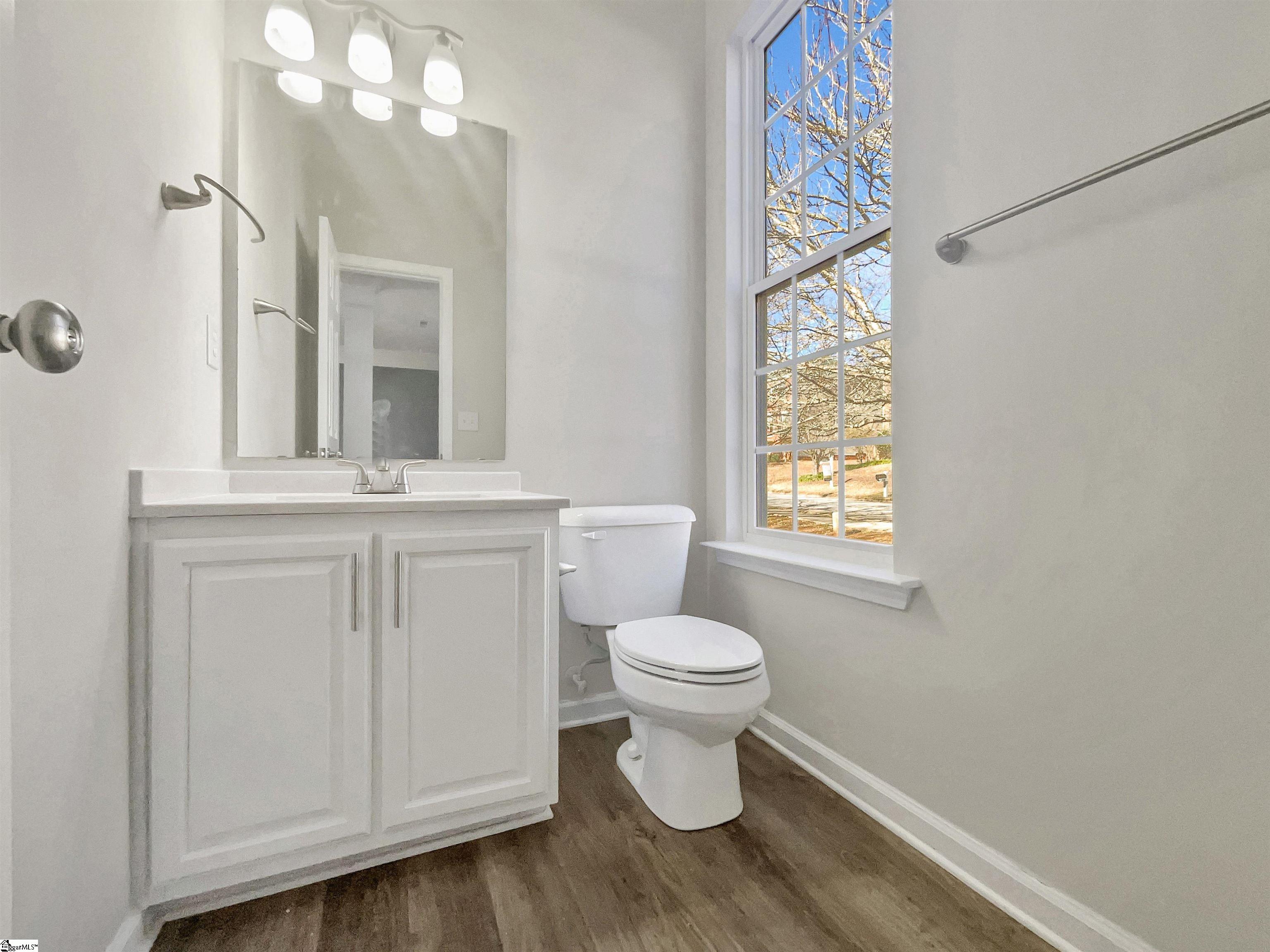 207 Wild Geese Way Travelers Rest, SC 29690 - Photo 29 of 34