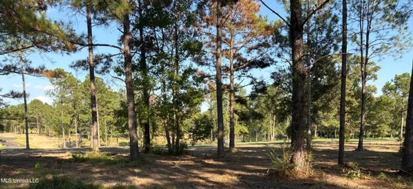 $53,000 | Shellcracker, Lucedale, MS 39452