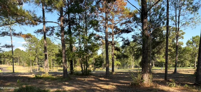 $53,000 | Shellcracker, Lucedale, MS 39452