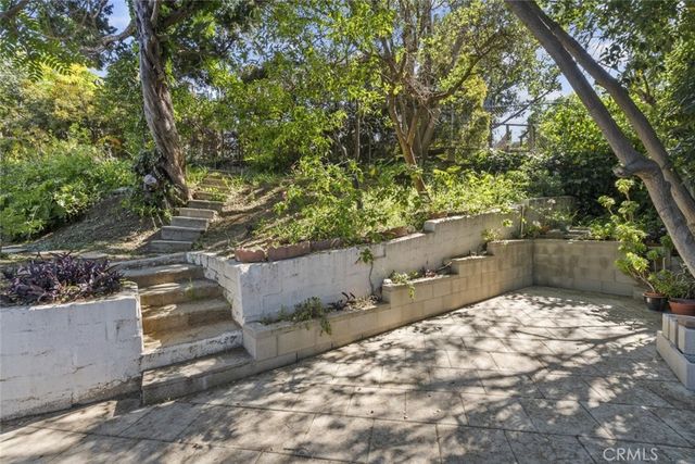a view of a yard with plants and trees