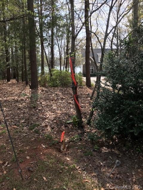 Lot 178 Lake Shore Road Denver, NC 28037 - Photo 12 of 23