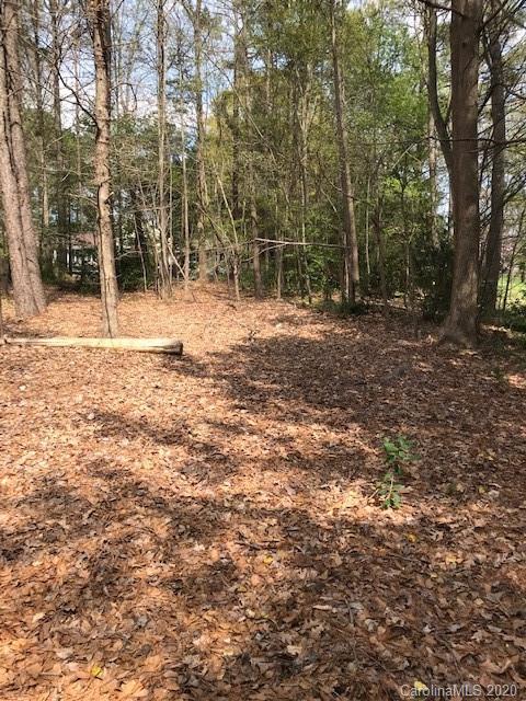 Lot 178 Lake Shore Road Denver, NC 28037 - Photo 17 of 23