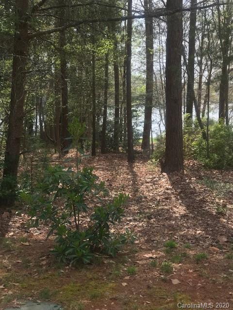 Lot 178 Lake Shore Road Denver, NC 28037 - Photo 18 of 23