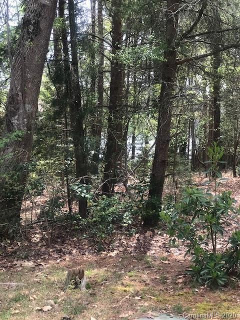 Lot 178 Lake Shore Road Denver, NC 28037 - Photo 19 of 23
