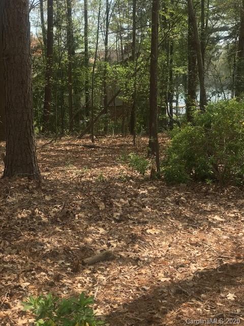 Lot 178 Lake Shore Road Denver, NC 28037 - Photo 21 of 23