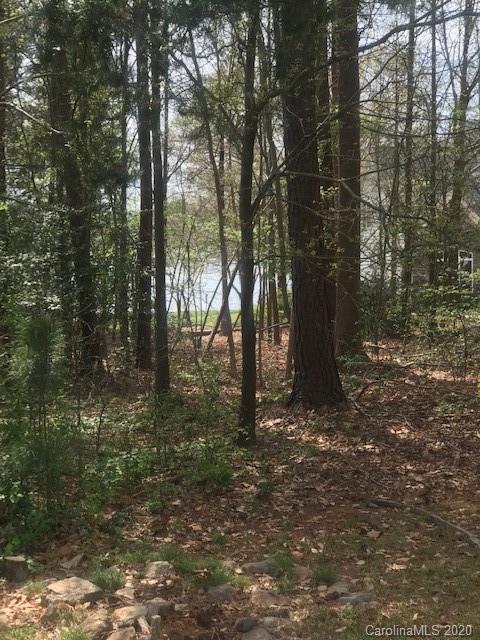 Lot 178 Lake Shore Road Denver, NC 28037 - Photo 22 of 23