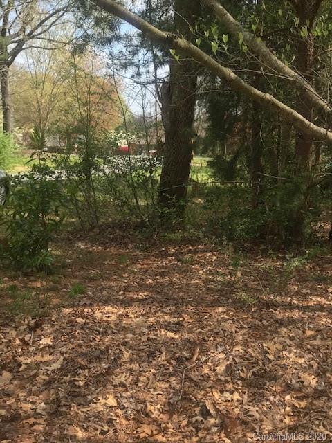 Lot 178 Lake Shore Road Denver, NC 28037 - Photo 7 of 23