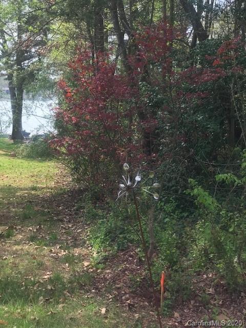 Lot 178 Lake Shore Road Denver, NC 28037 - Photo 9 of 23
