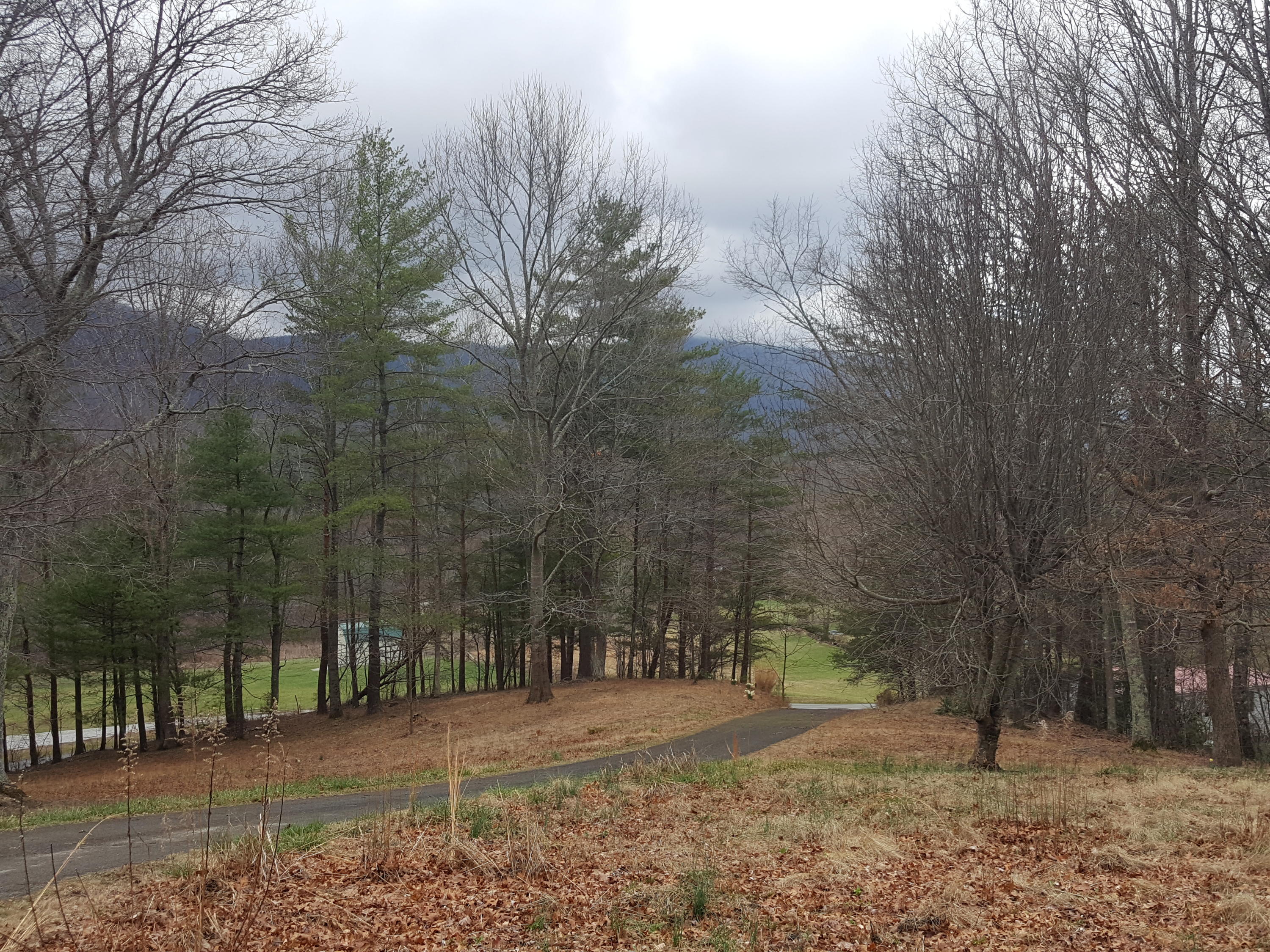 2529 Smithfield Road Tellico Plains, TN 37385 - Photo 14 of 22 20170219_121809