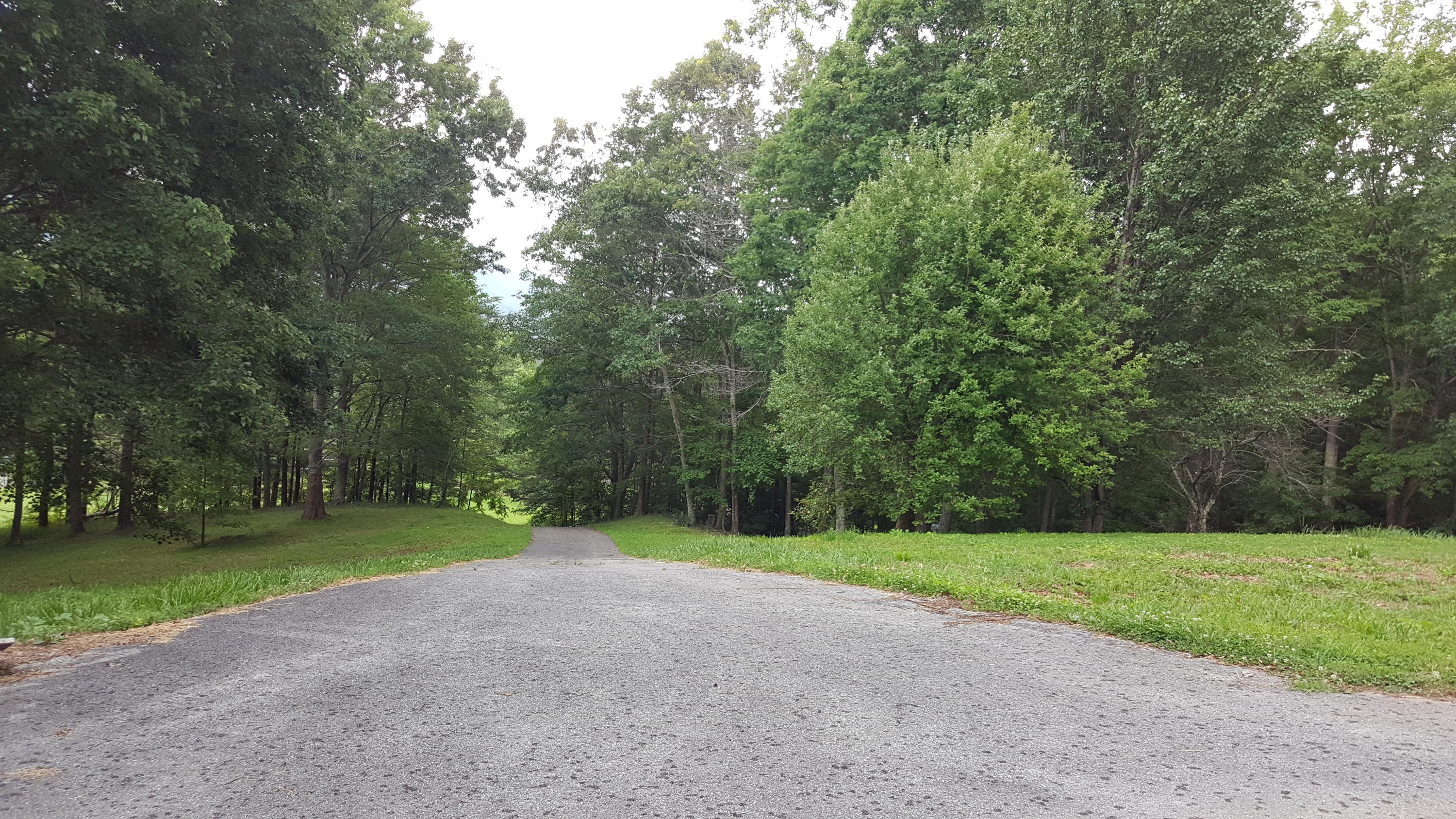 2529 Smithfield Road Tellico Plains, TN 37385 - Photo 22 of 22 20170617_145408