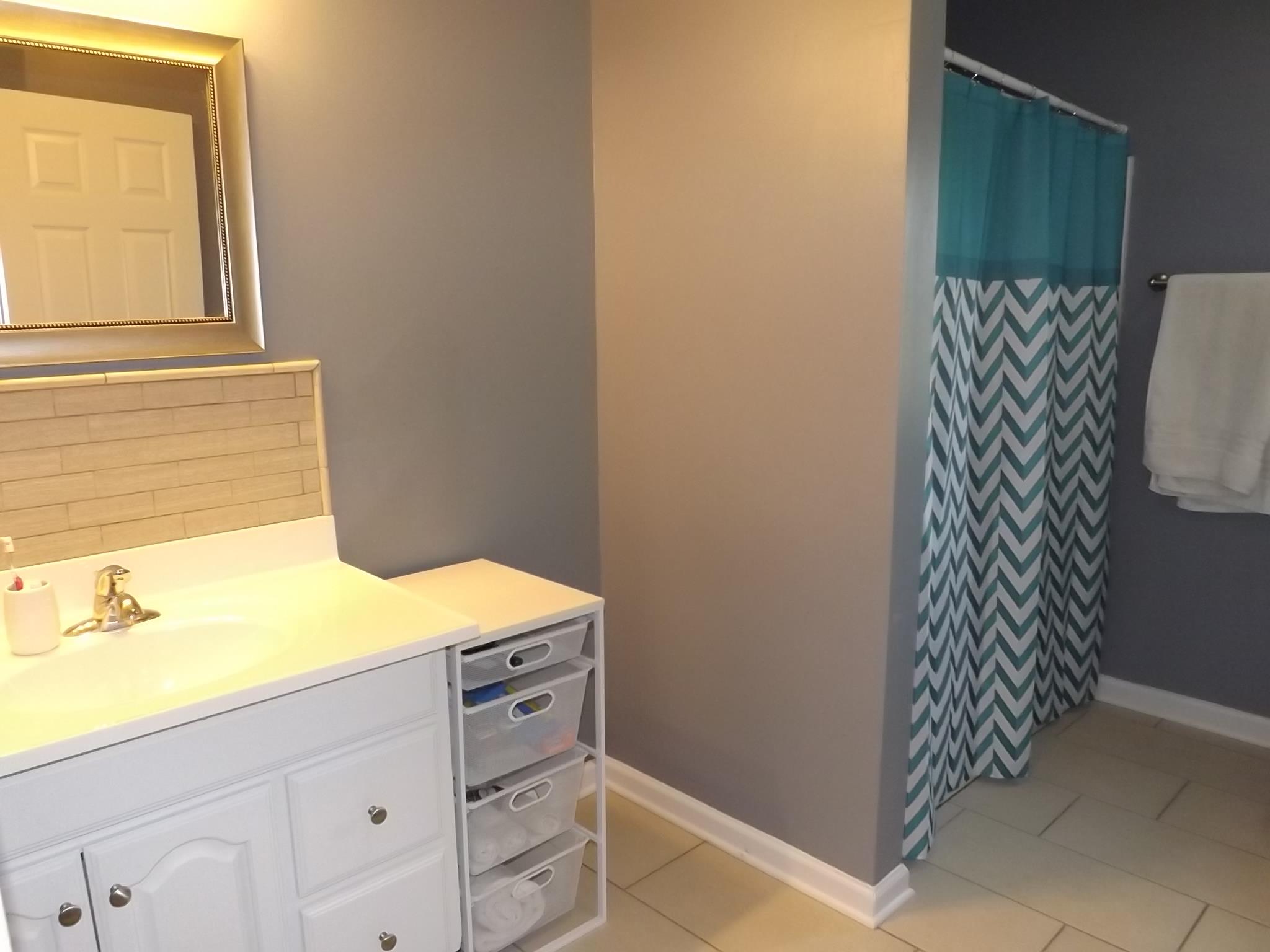 614 Ferrells Loop Road Beechgrove, TN 37018 - Photo 19 of 28 a bathroom with a sink and a mirror