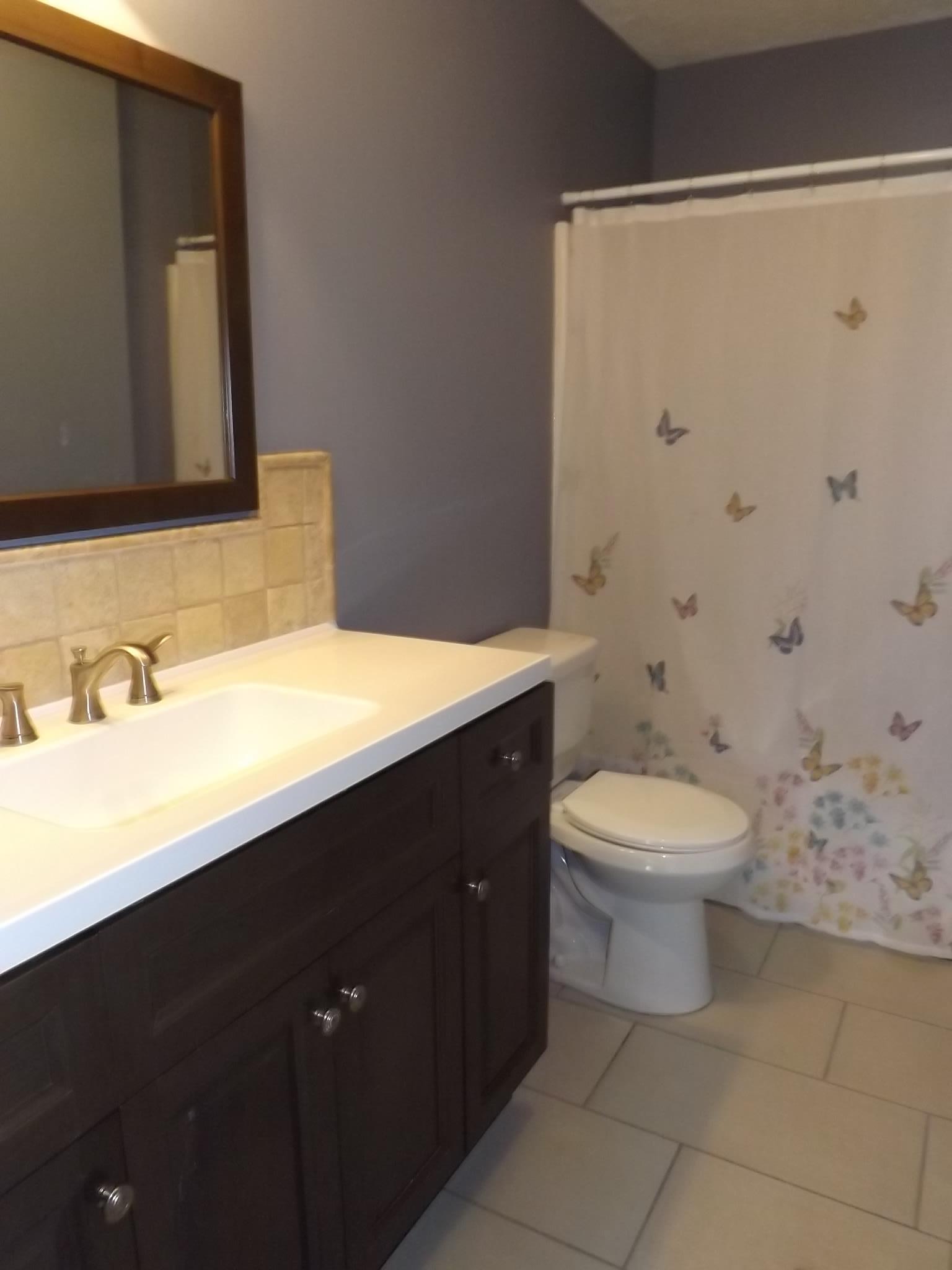 614 Ferrells Loop Road Beechgrove, TN 37018 - Photo 23 of 28 a bathroom with a sink a toilet and shower