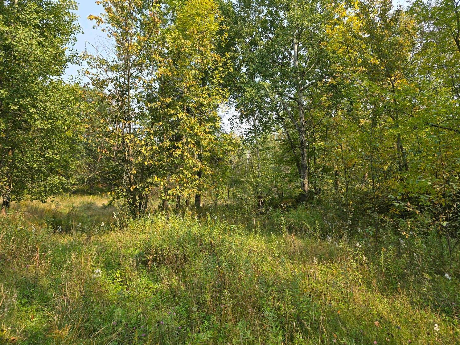 42206 Co Highway 26 Rochert, MN 56578 - Photo 1 of 1 Gallery Image 1
