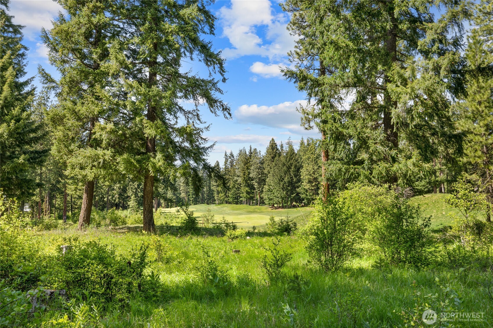 1390 Snowberry Loop Cle Elum, WA 98922 - Photo 10 of 40 a view of outdoor space with trees all around