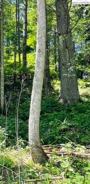 Bent River Drive Crumpler, NC 28617 - Photo 14 of 14