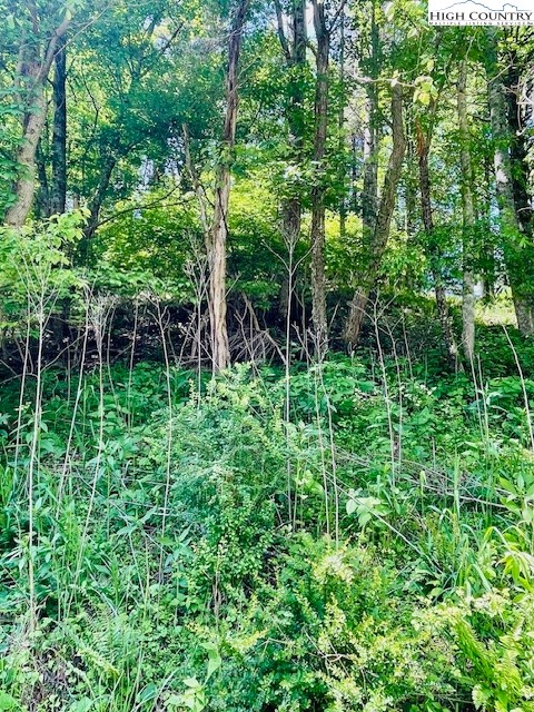 Bent River Drive Crumpler, NC 28617 - Photo 9 of 14