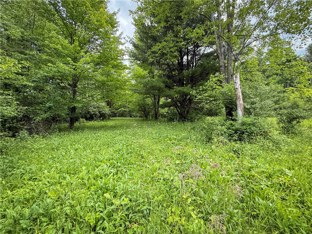 5401 Old Bath Road Barrington, NY 14837 - Photo 34 of 50