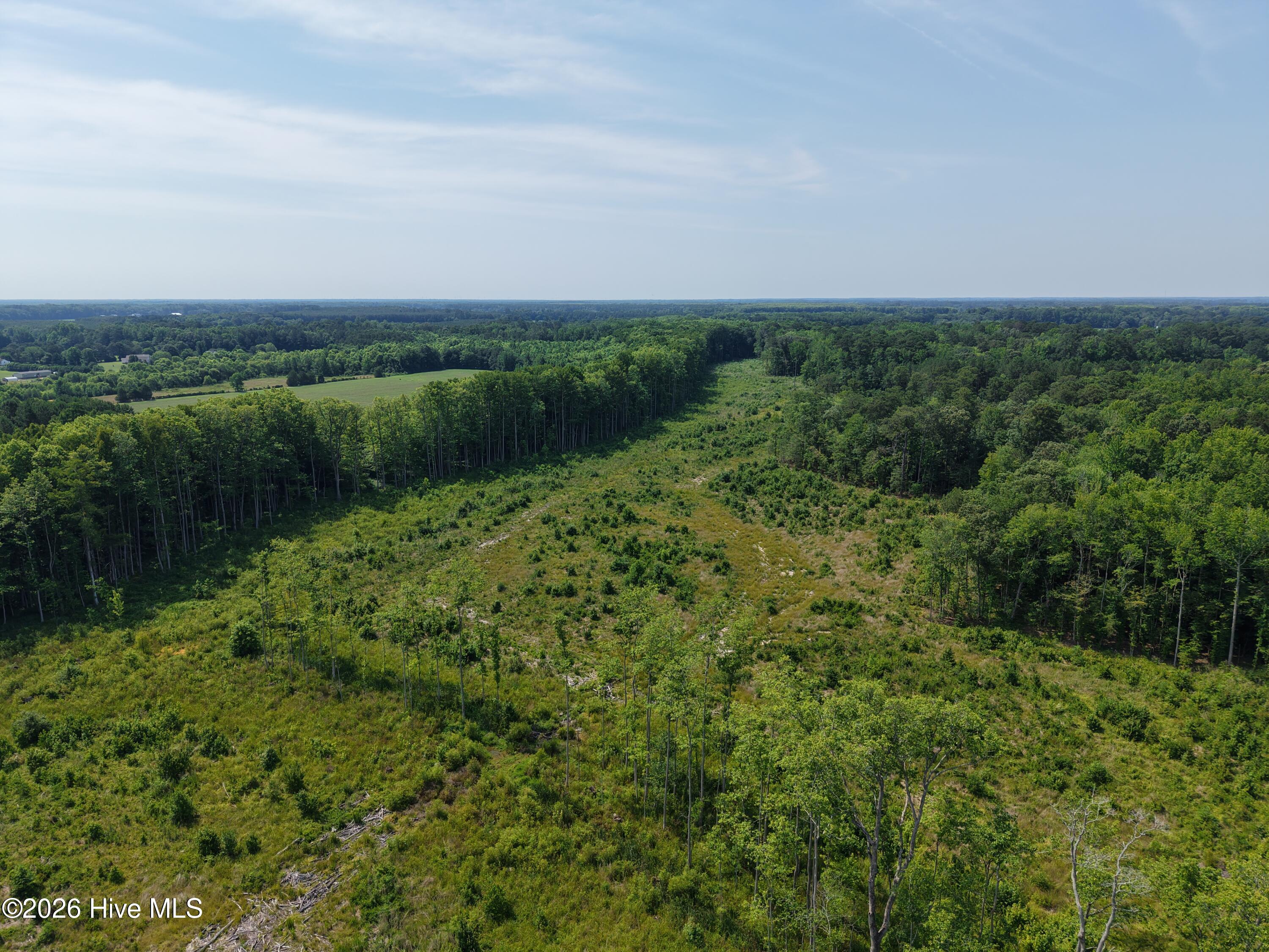 32 North & Amp Corapeake Road Corapeake, NC 27926 - Photo 4 of 17