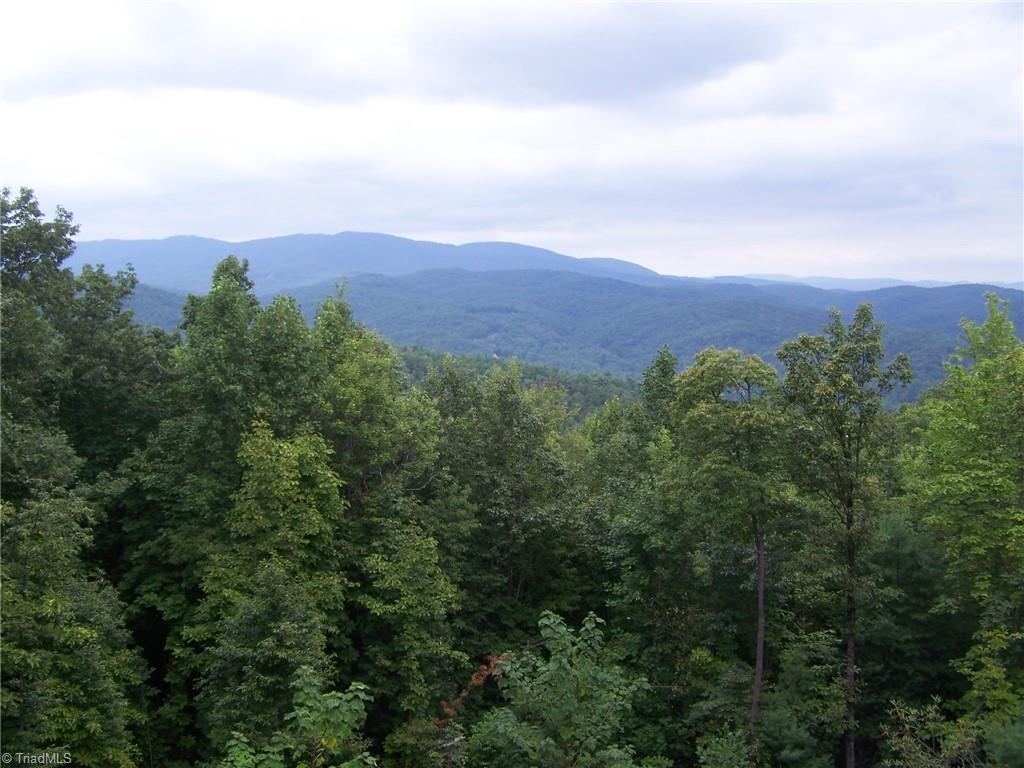 44 Beauty Drive Purlear, NC 28665 - Photo 1 of 4