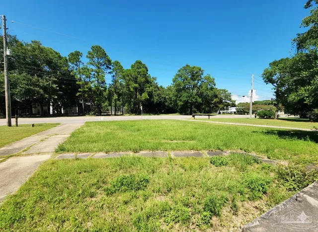 a view of a park with trees in the background