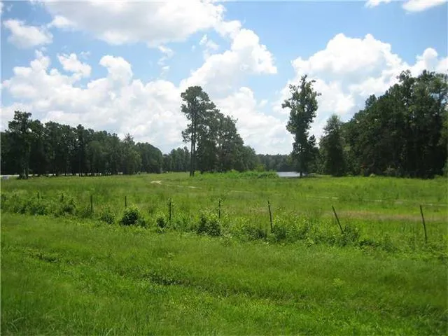 $1,300,000 | 0 Hwy 442/i-55 Highway, Tickfaw, LA 70466
