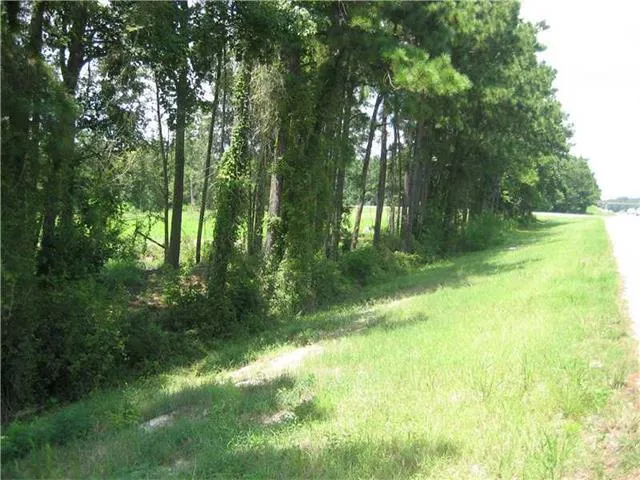 $1,300,000 | 0 Hwy 442/i-55 Highway, Tickfaw, LA 70466