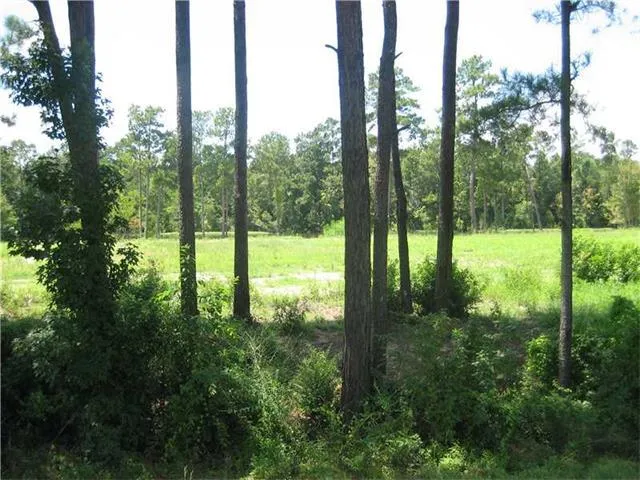 $1,300,000 | 0 Hwy 442/i-55 Highway, Tickfaw, LA 70466