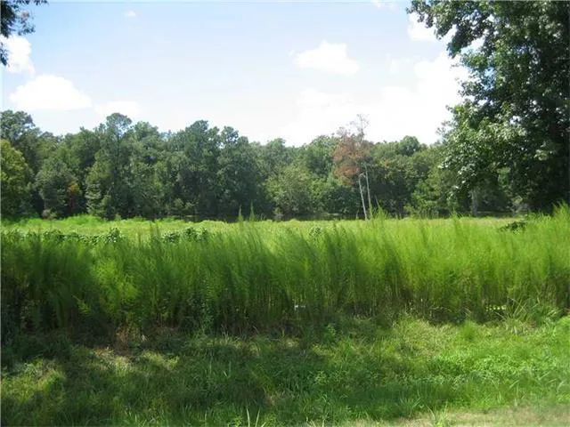 $1,300,000 | 0 Hwy 442/i-55 Highway, Tickfaw, LA 70466