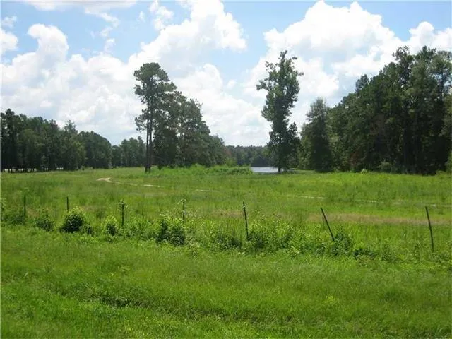 $1,300,000 | 0 Hwy 442/i-55 Highway, Tickfaw, LA 70466