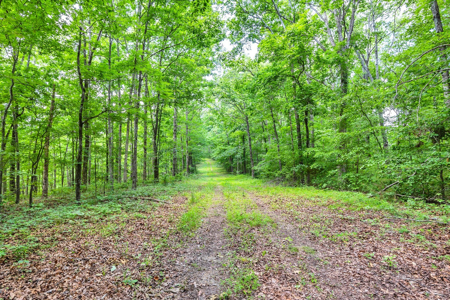 5185 Old Harding Road Fairview, TN 37062 - Photo 20 of 42