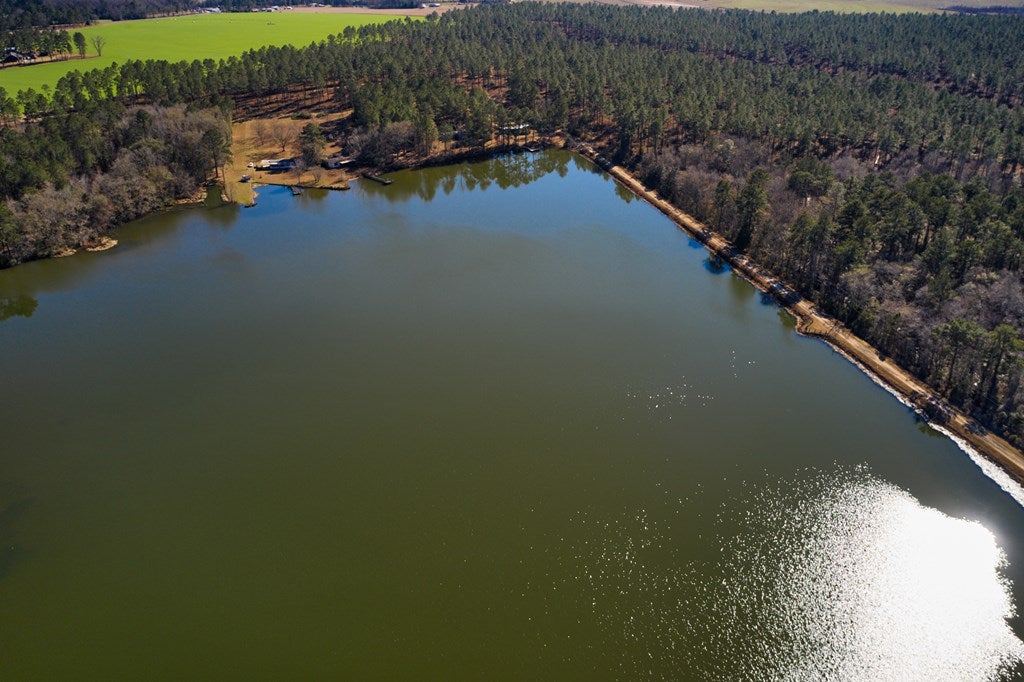 328 Moore Pond Road Quitman, GA 31643 - Photo 39 of 48 Gallery Image 39