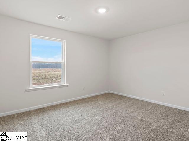 229 Roocroft Court Fountain Inn, SC 29644 - Photo 17 of 34