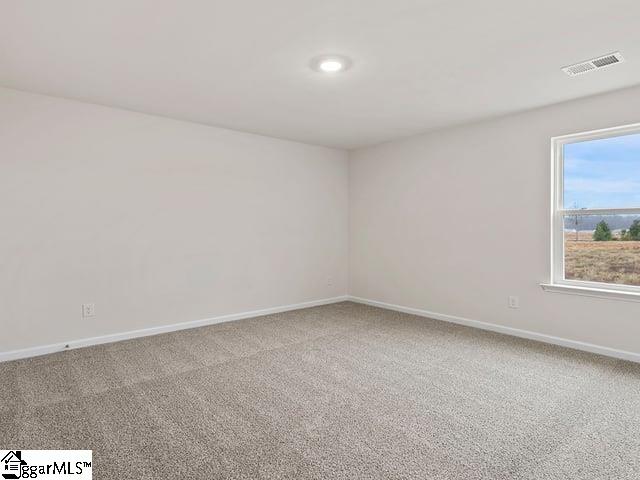 229 Roocroft Court Fountain Inn, SC 29644 - Photo 20 of 34