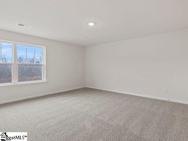 229 Roocroft Court Fountain Inn, SC 29644 - Photo 22 of 34