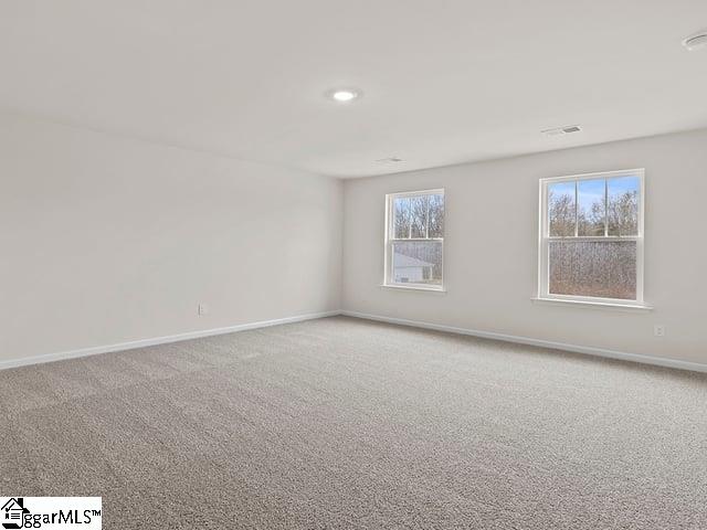 229 Roocroft Court Fountain Inn, SC 29644 - Photo 24 of 34