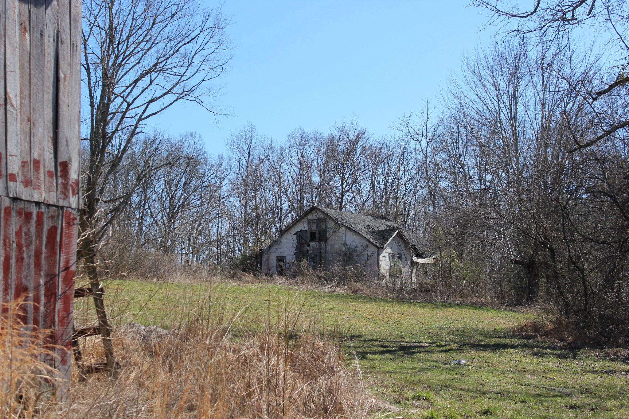 739 Hatcher Road Moss, TN 38575 - Photo 22 of 32 a backyard of a house with a yard and large tree