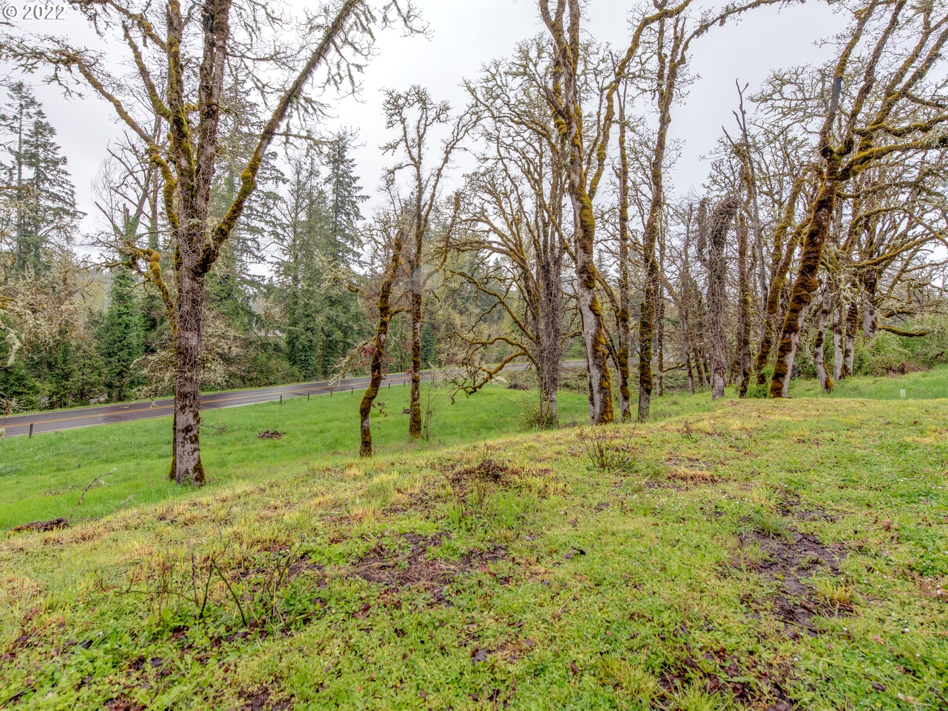 39283 Little Fall Creek Road Fall Creek, OR 97438 - Photo 28 of 28 a view of field with trees